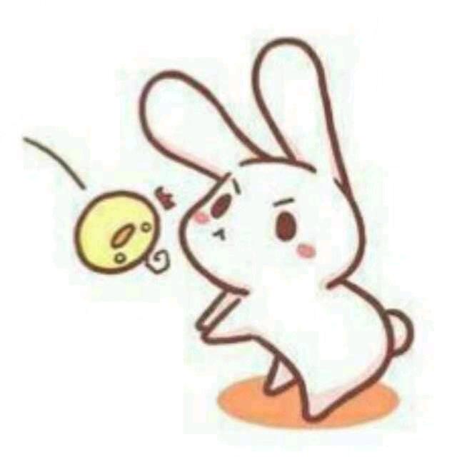 不动小白