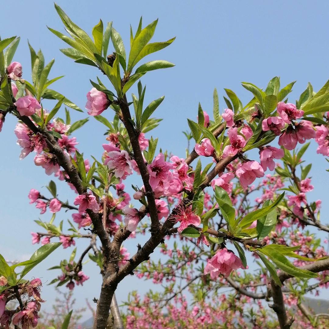 黄用户2194907062545