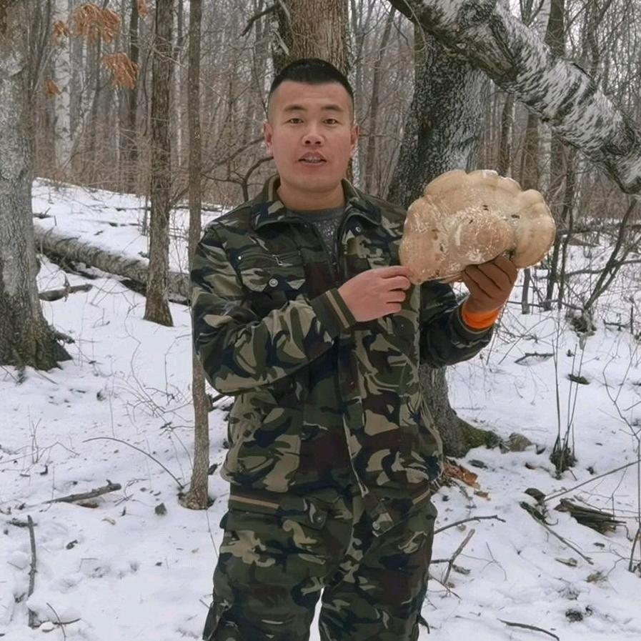 林区强子