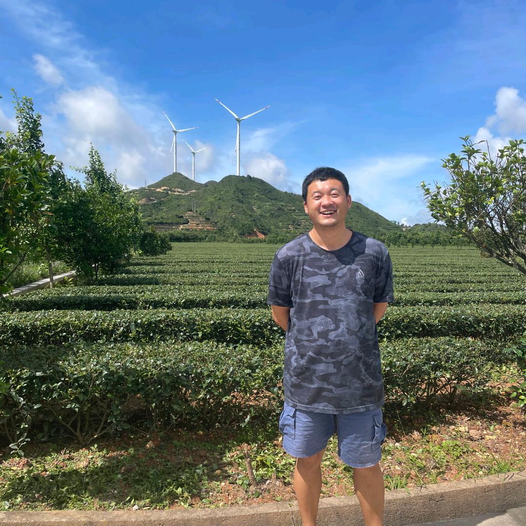 种好茶是可以养家致富的