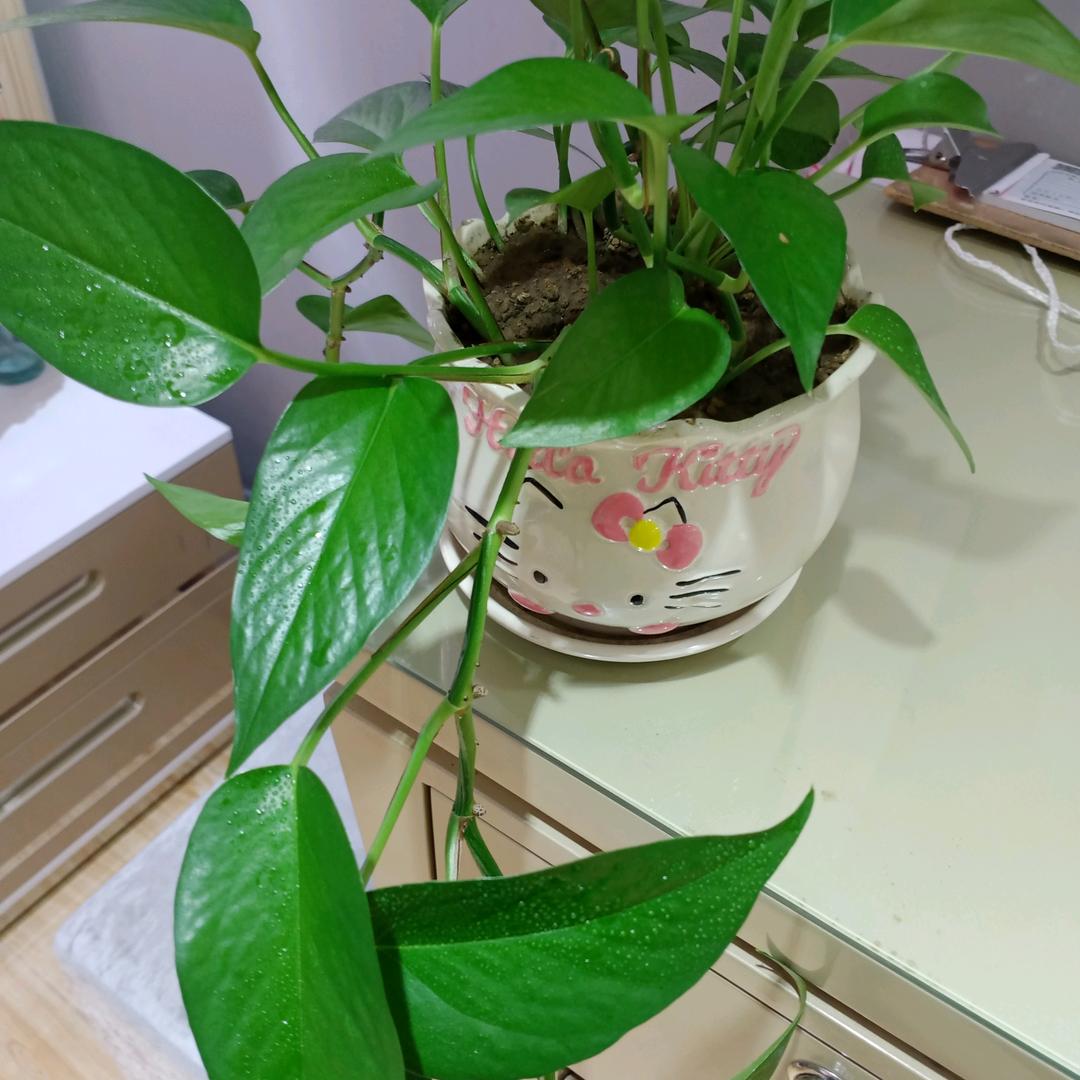 晴