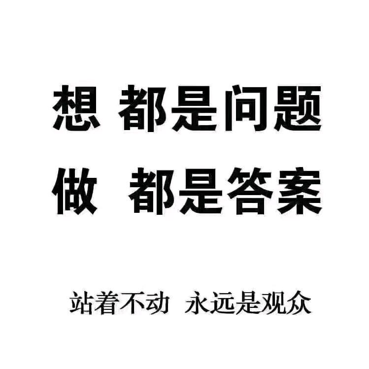 梦。飞扬