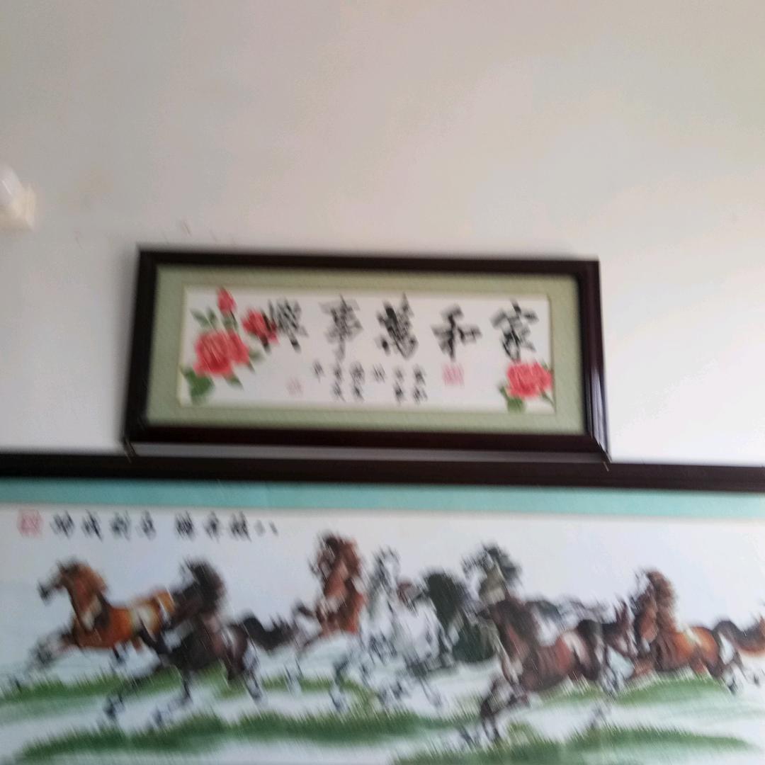 四叶草01