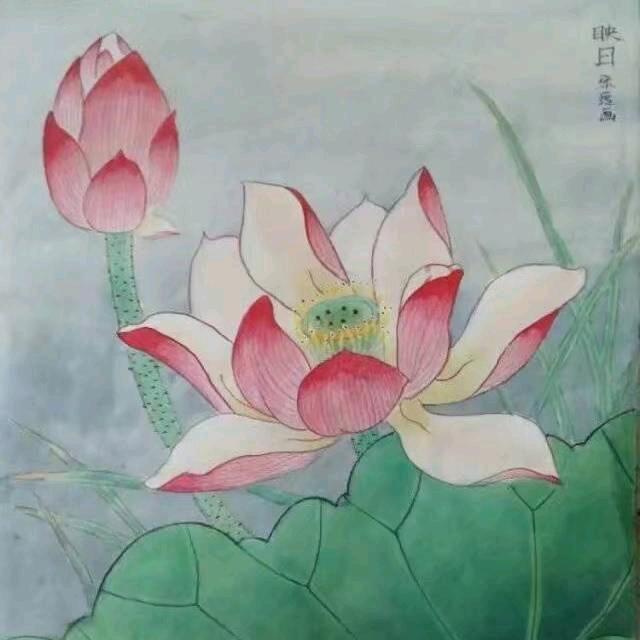 贾小娟