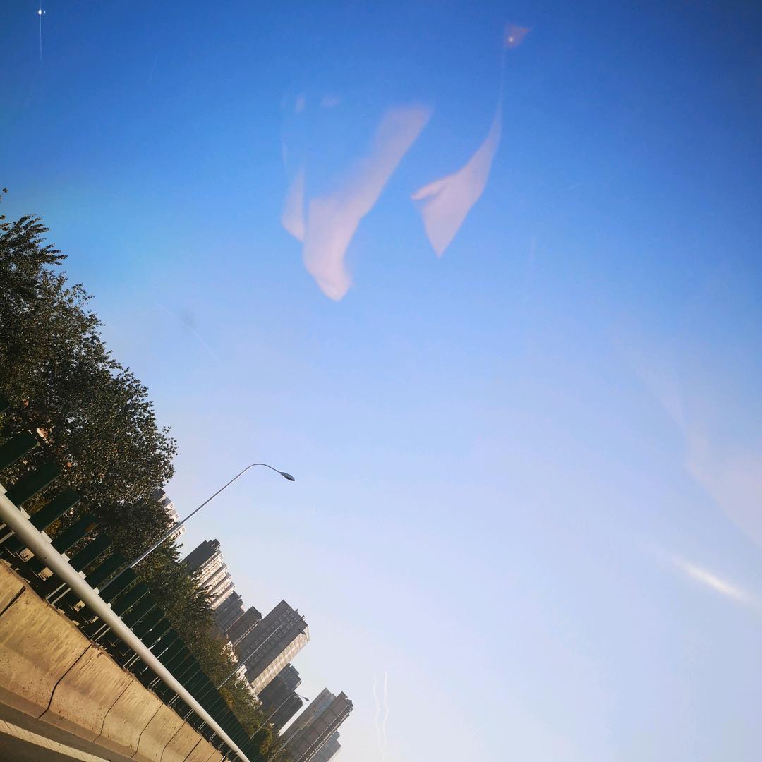 杨🕊️子     ེོ