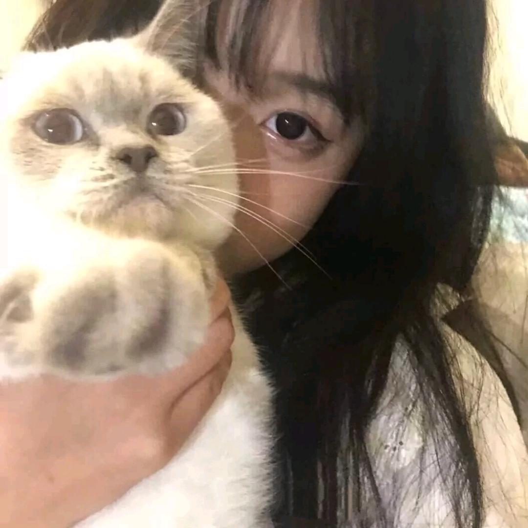 星星没有了