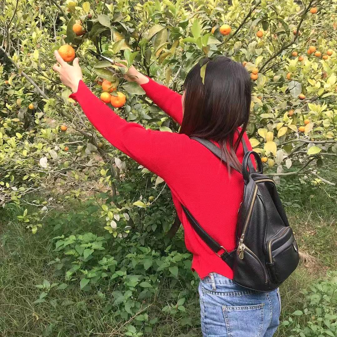 （怀集诗洞）👉植👈