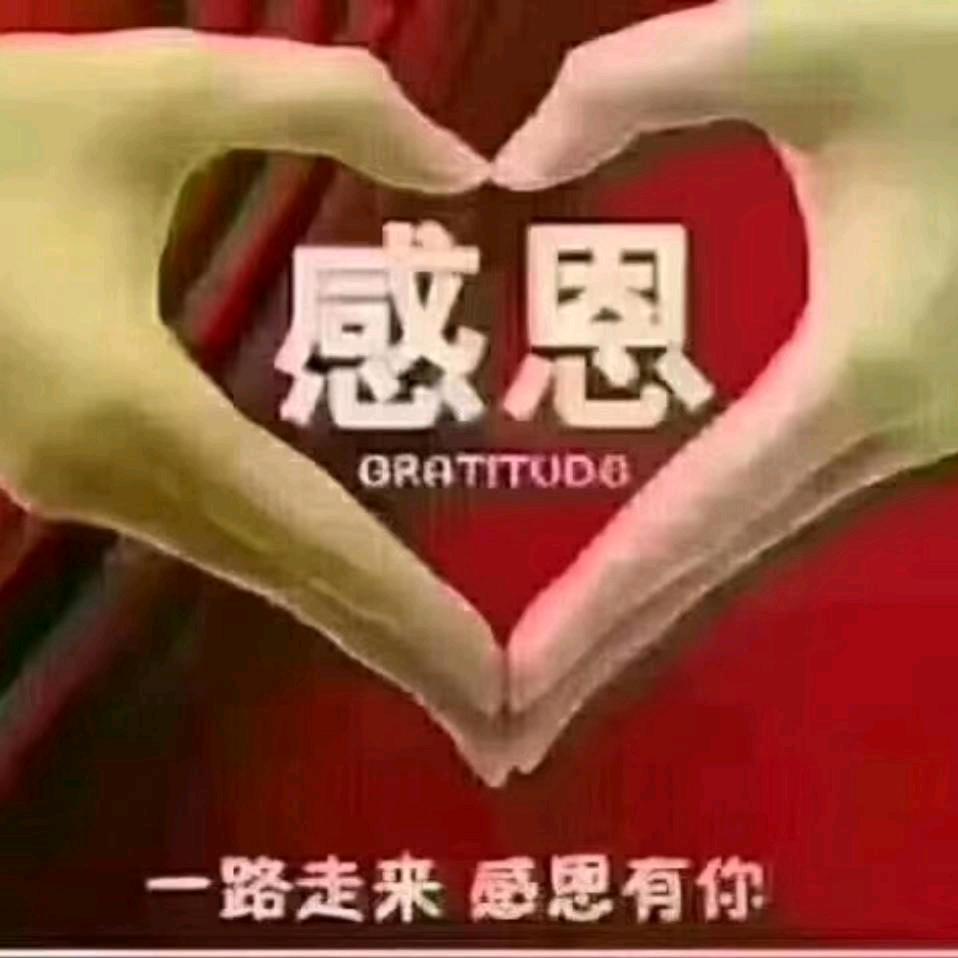 风雨人生路.
