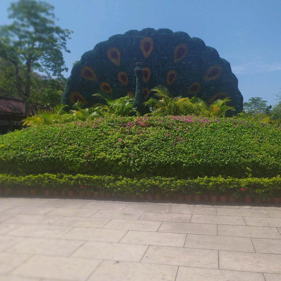 李姐鸡蛋灌饼