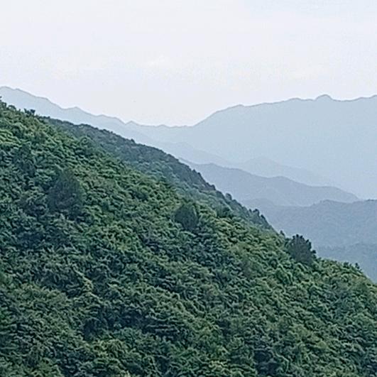 秦岭