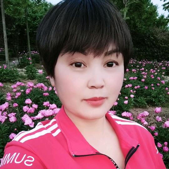 鸽子