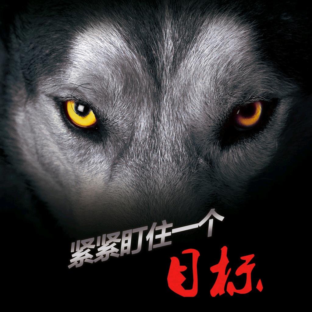 闽狼