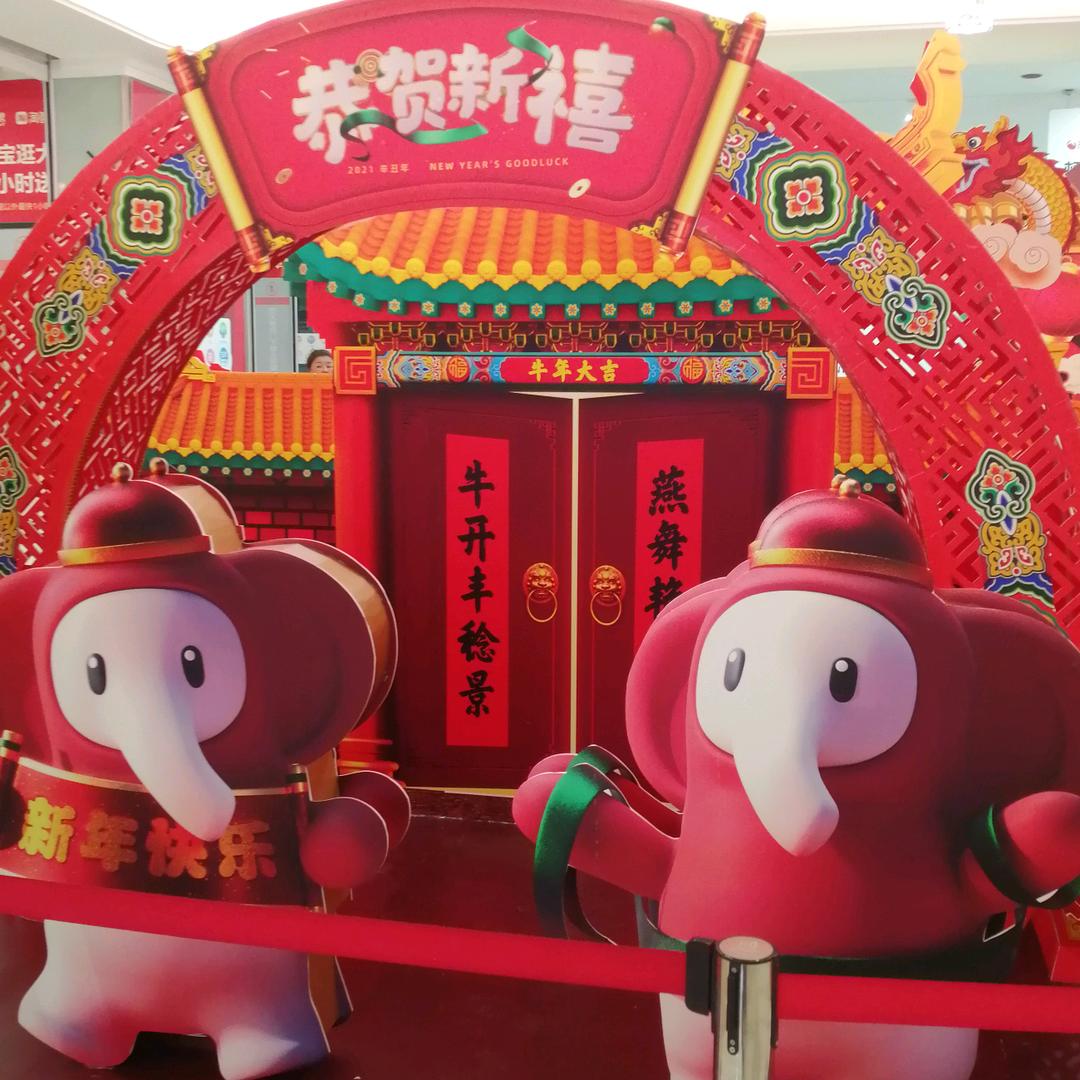 鹏程万里