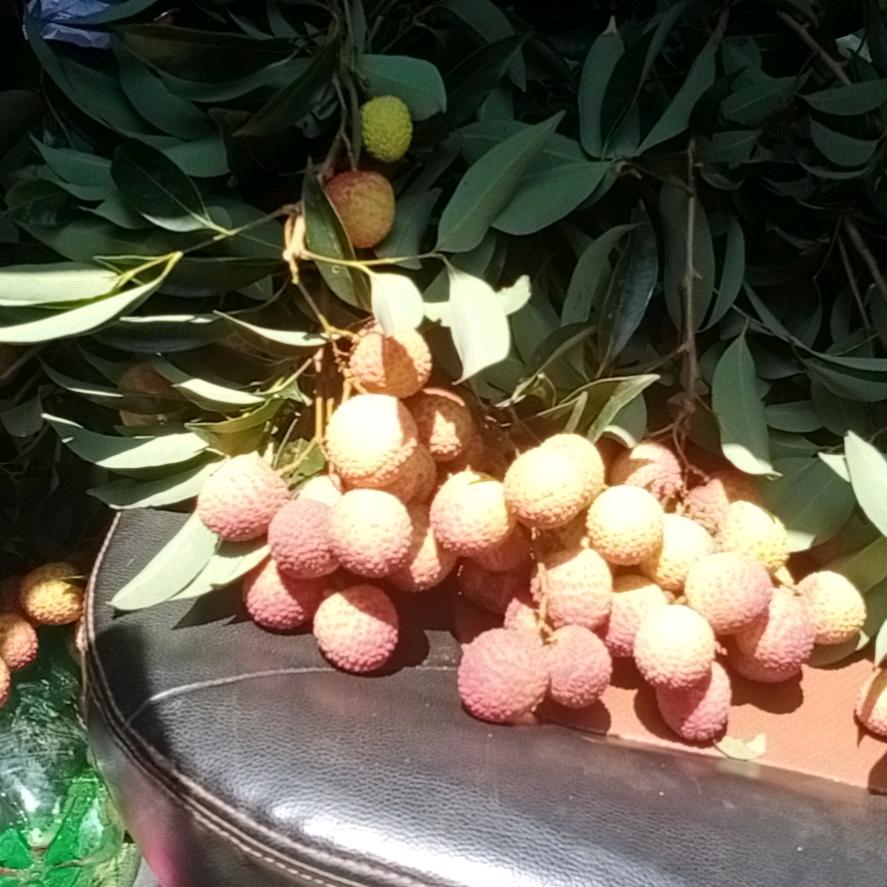 一半糊涂一半清醒