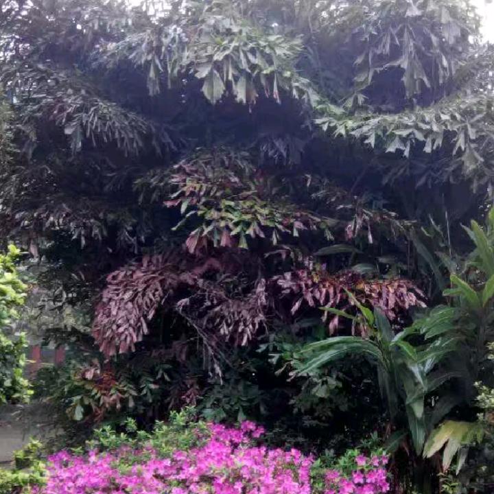 就你最美