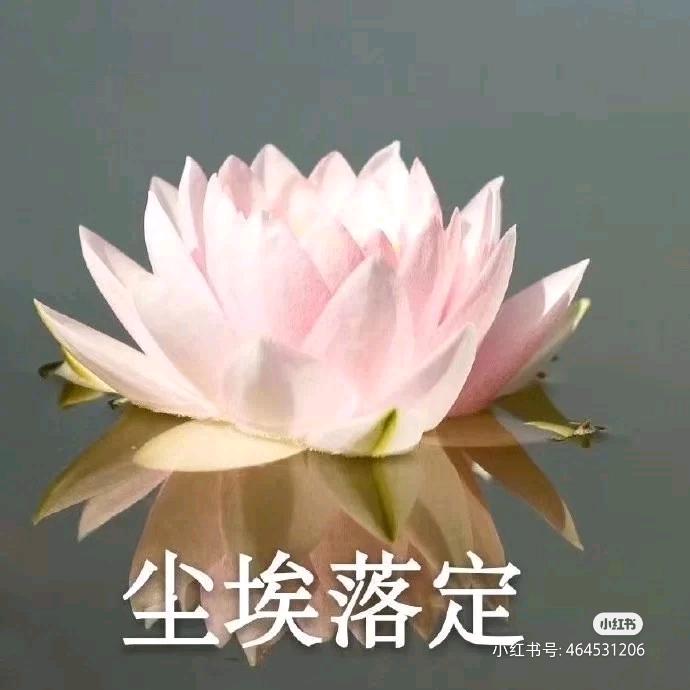 随缘1