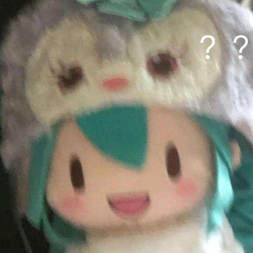 荞麦麦脆脆小蜜蜂