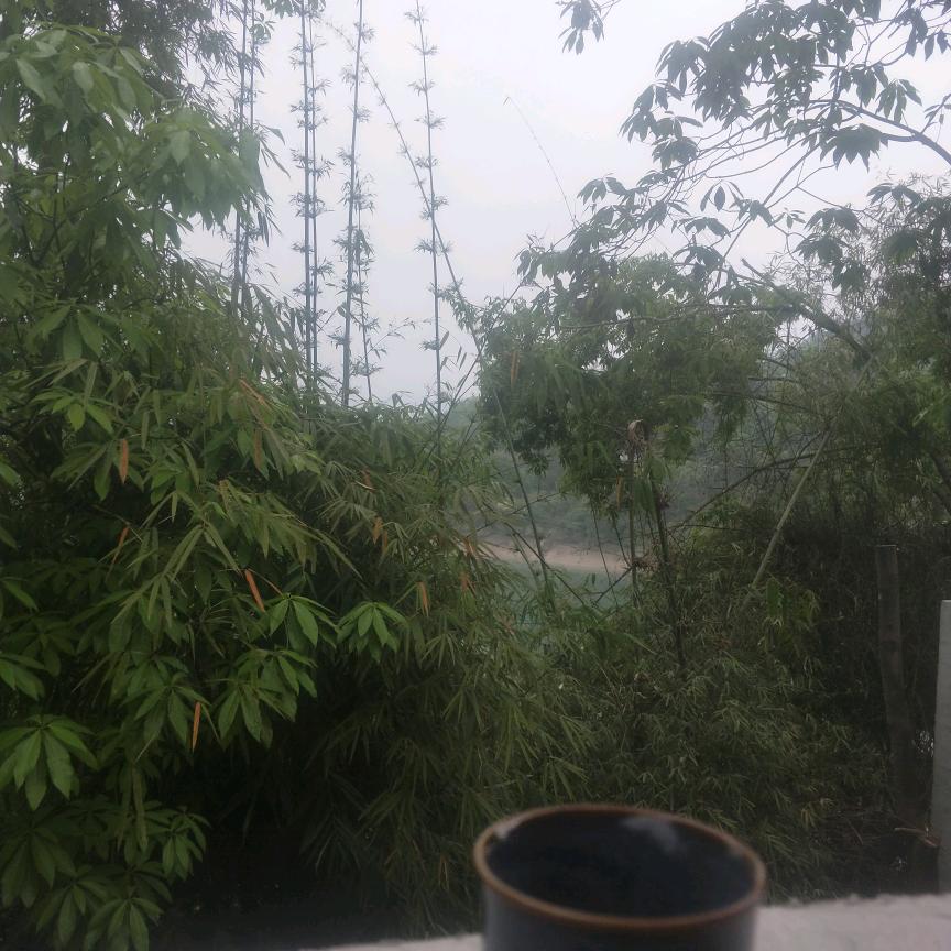 情洒酉水河