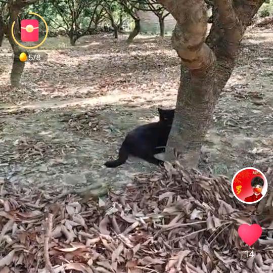 🌈🌈🌈🌈老马神话