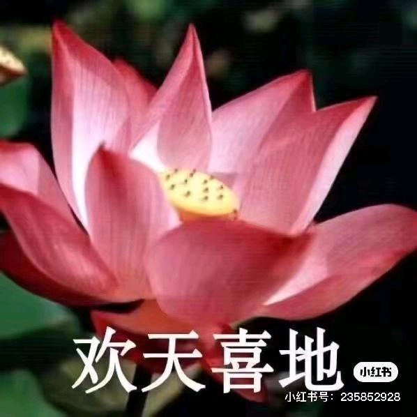 岁月