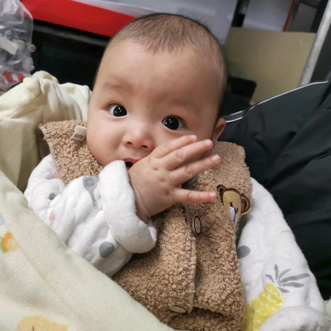 大象广告装饰