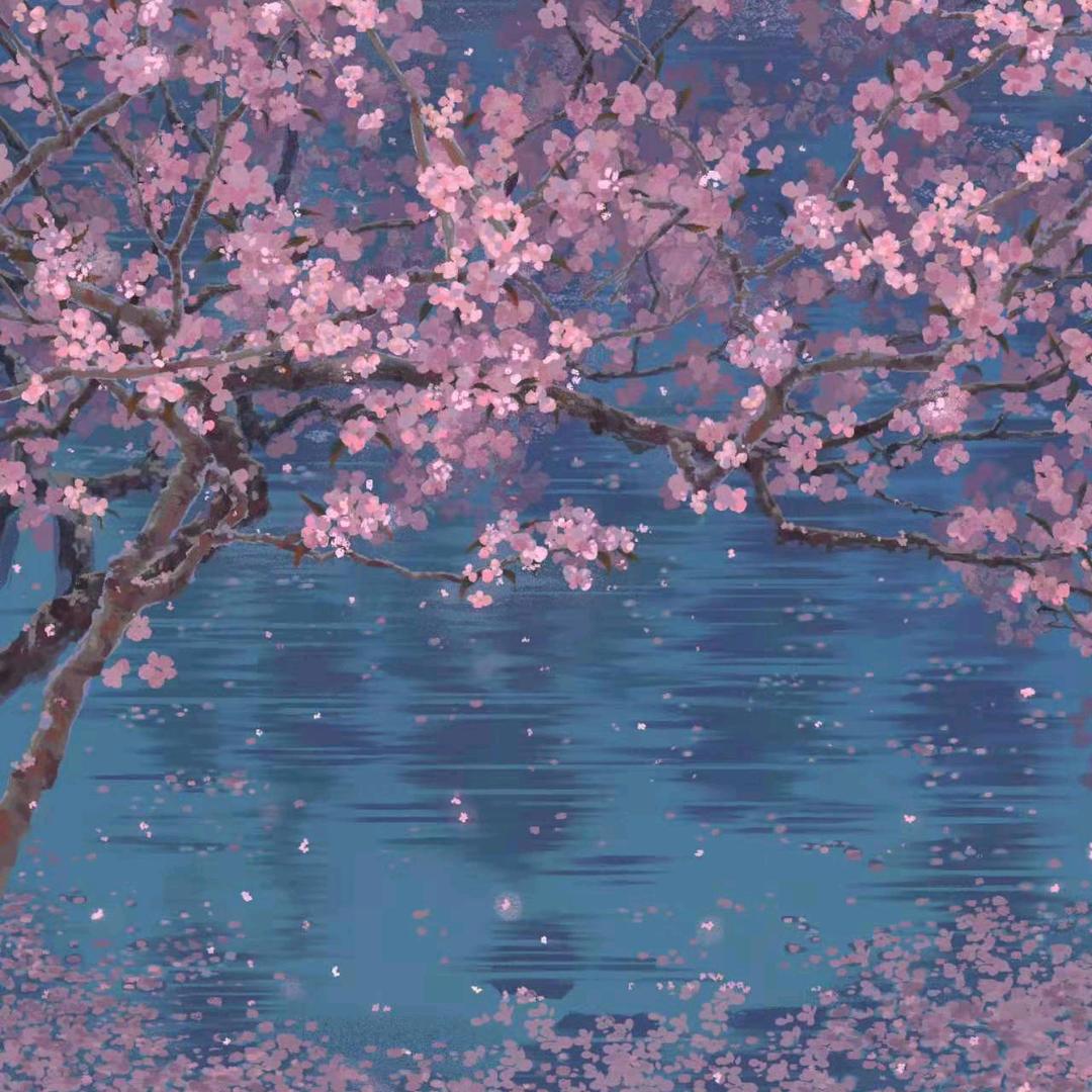 开心就好🌷🌷