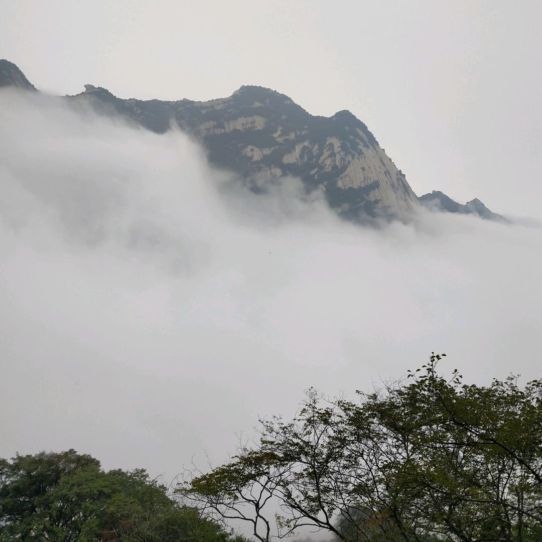 平凡一生