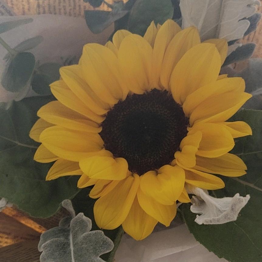 长官回民羊肉现宰现卖城中路质量监督局对面