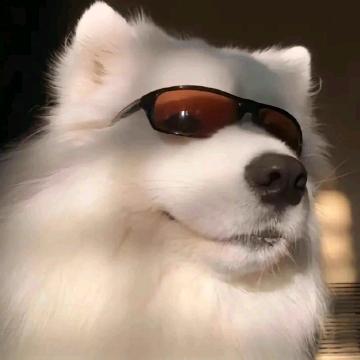 看海