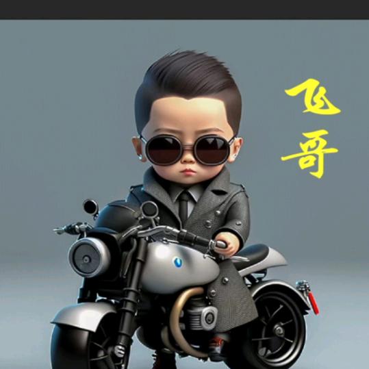 磁县庆和峪淮调剧团飞哥