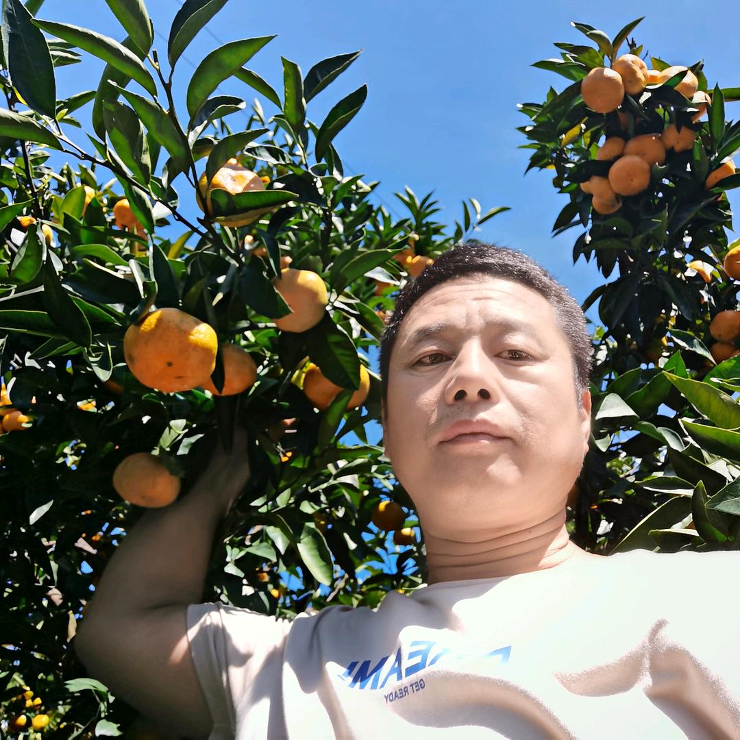 、祥云风尘