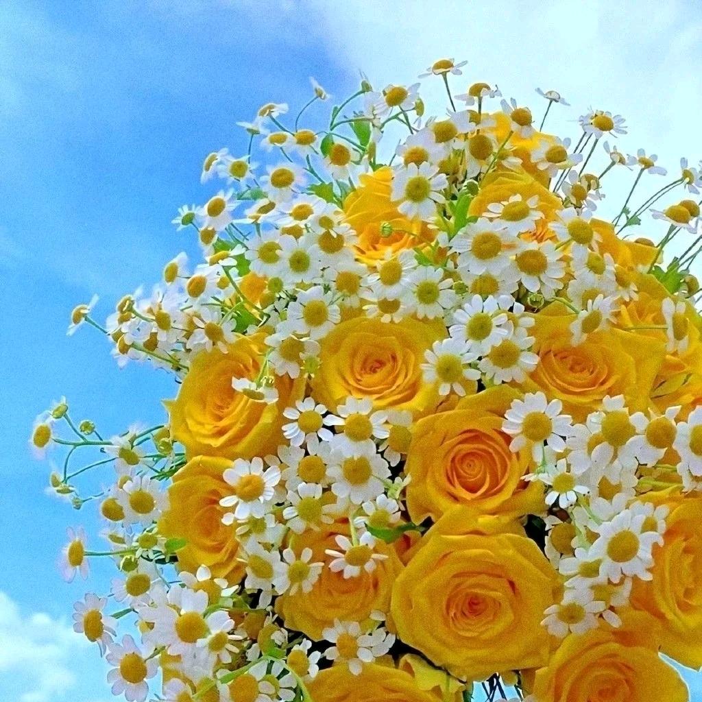 是小芳啊