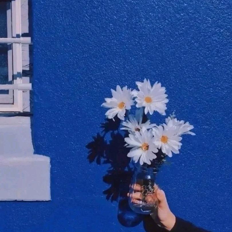 宜宾家教张老师