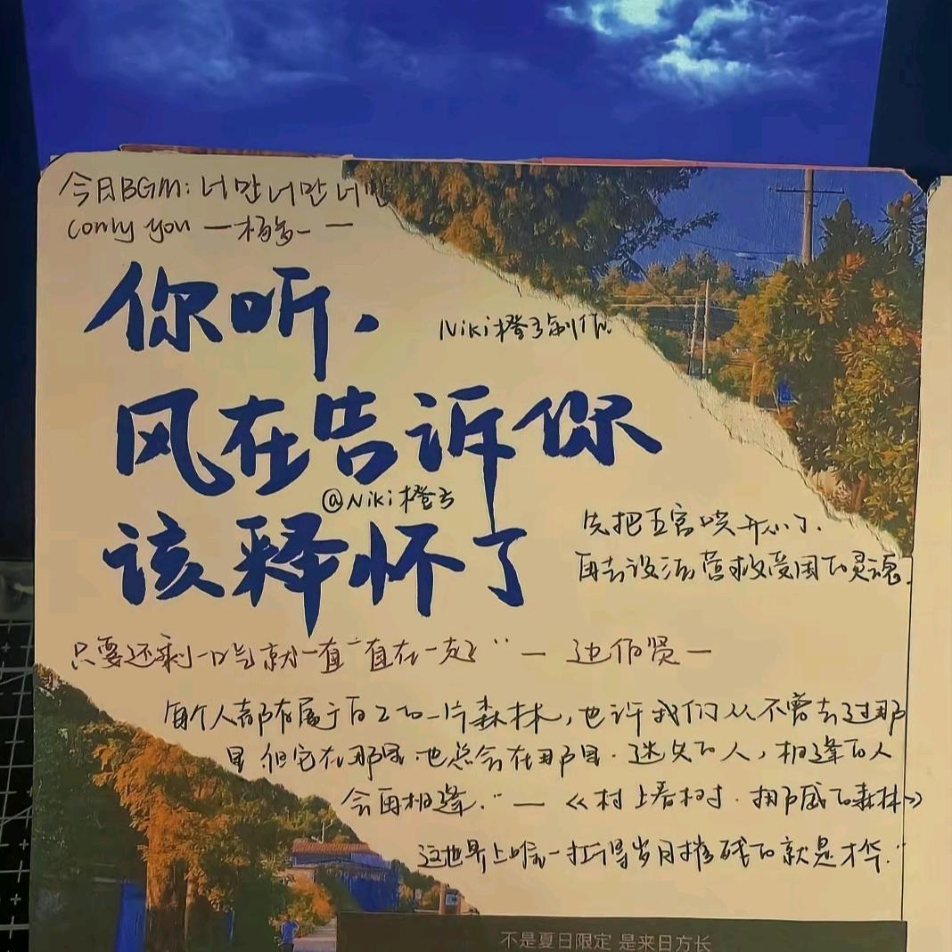 风是希望的信差头像