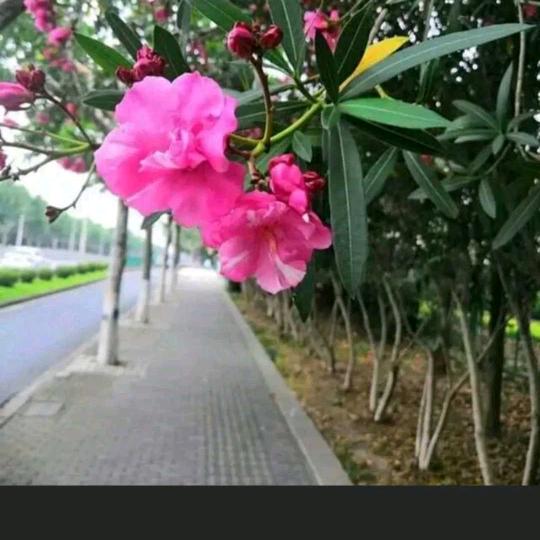 快乐无限