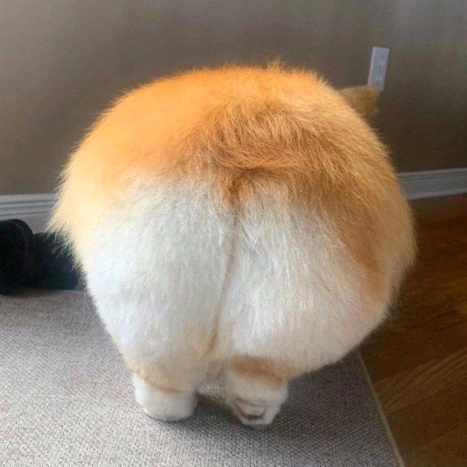 Joy姐姐