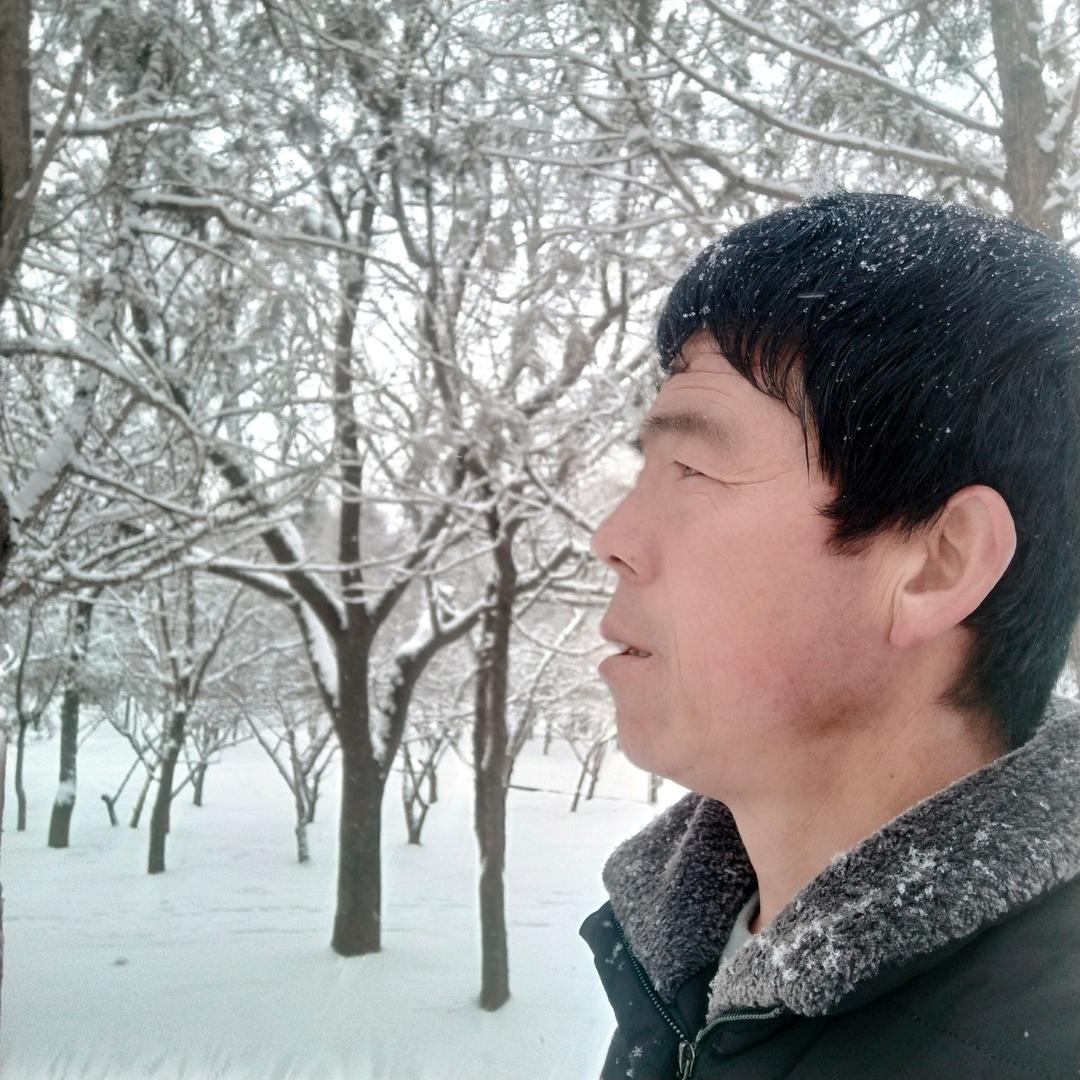 用户8466957995598   孟