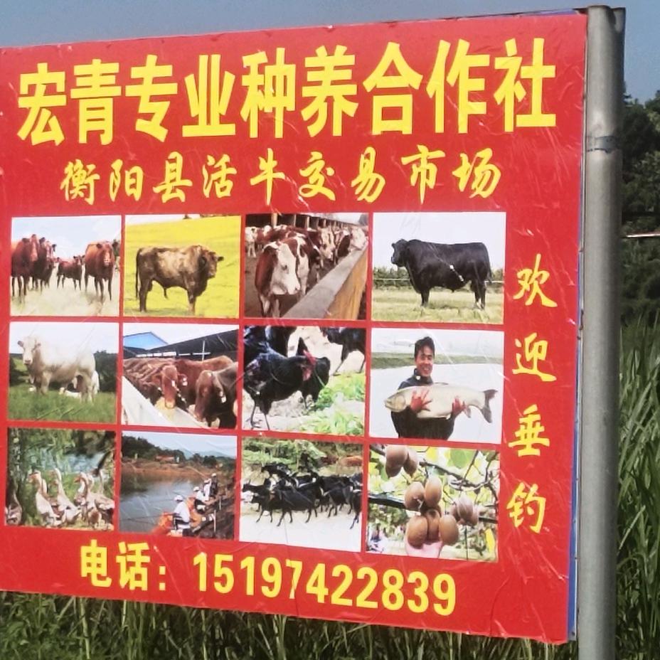 宏宴移动酒席团队（刘厨）