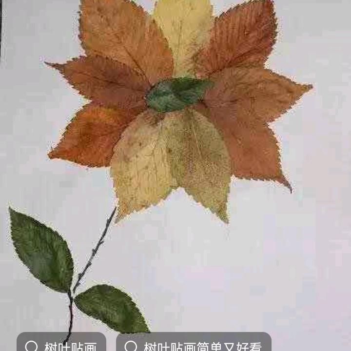 展示自我