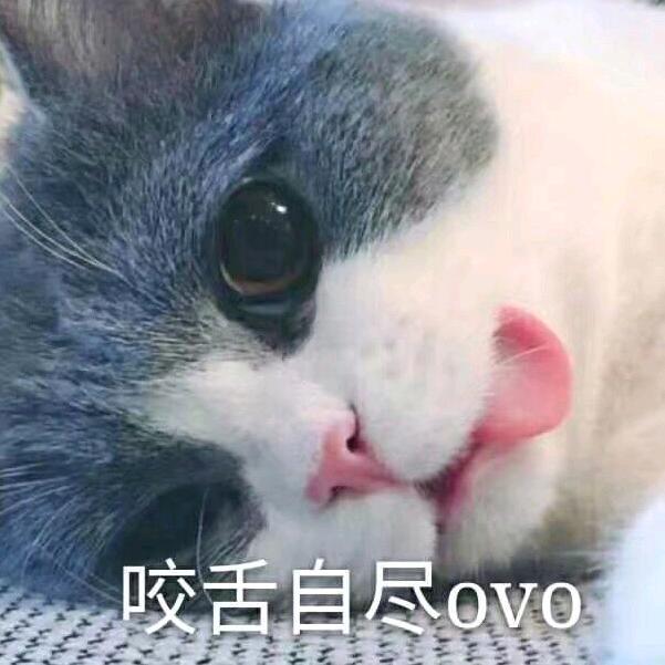 失落的世界