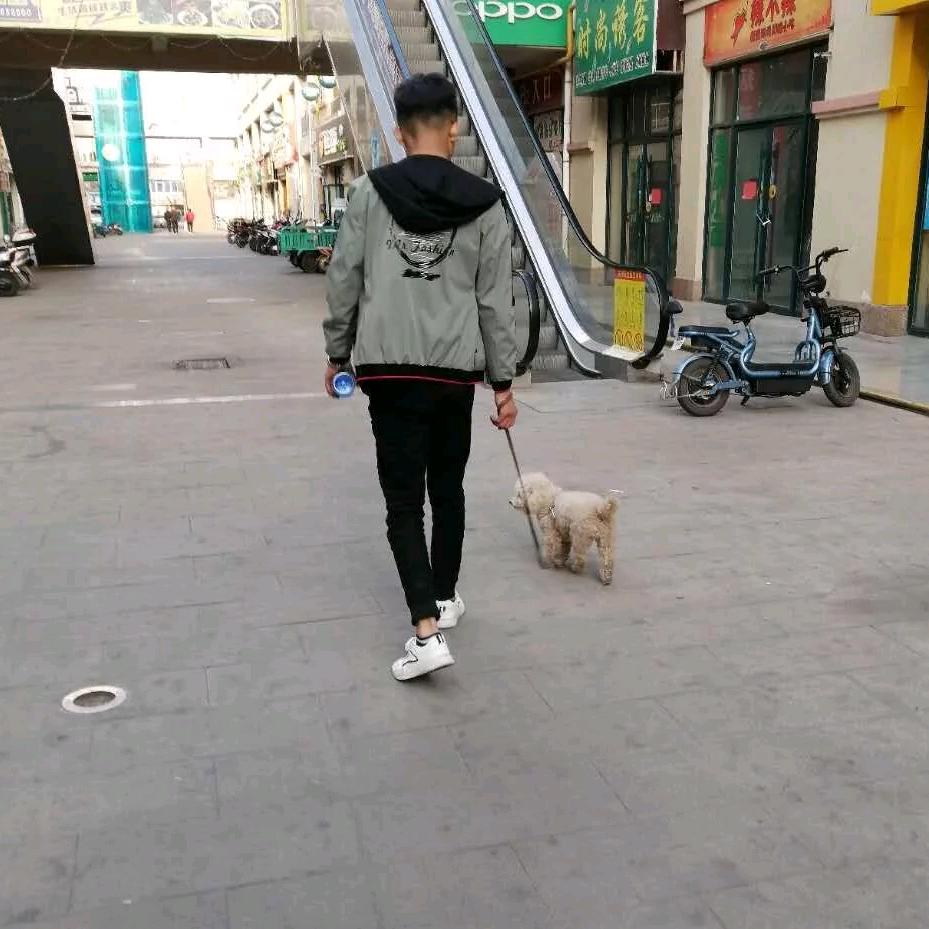 马小帅