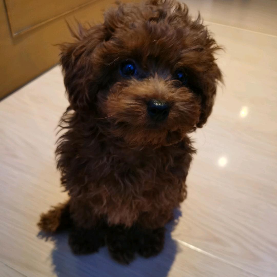 熙