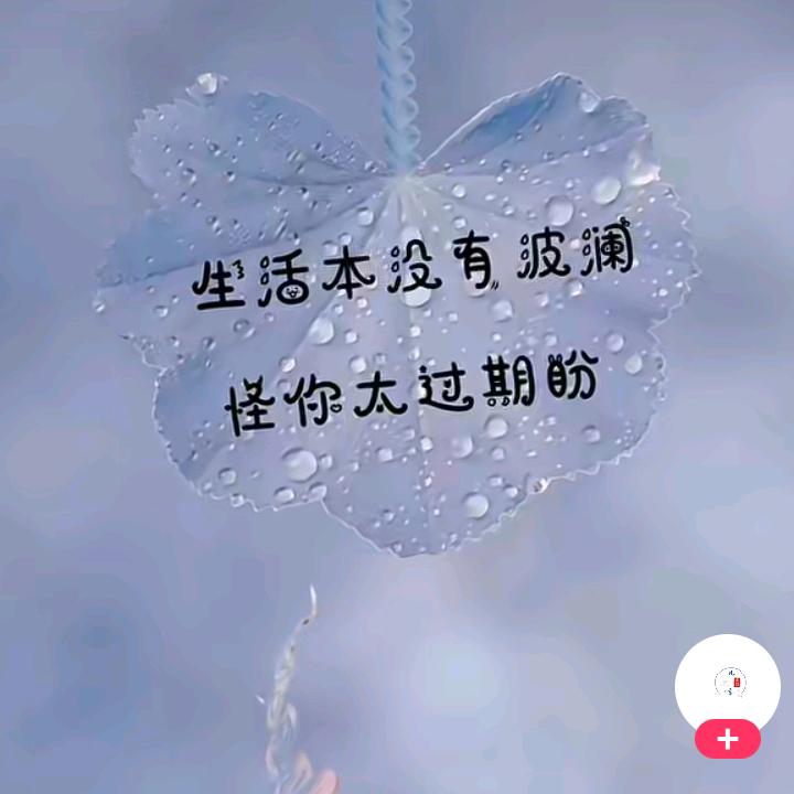 💕丹💞丹💗