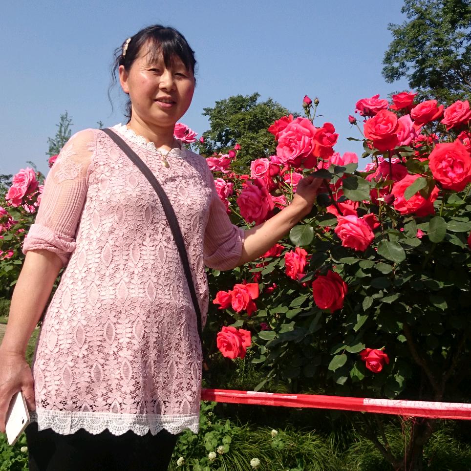 轻舞飞扬