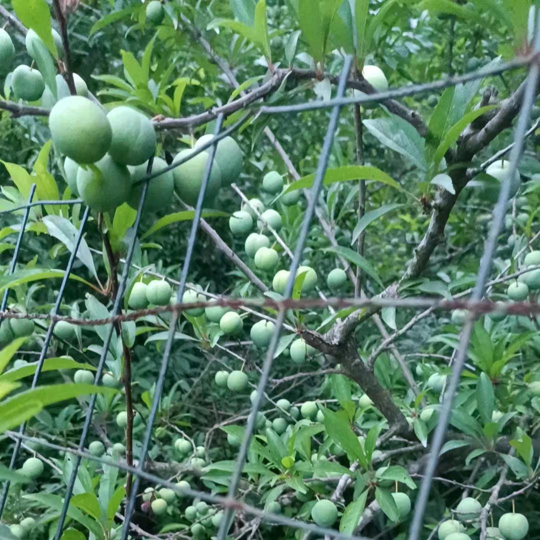 问心无愧