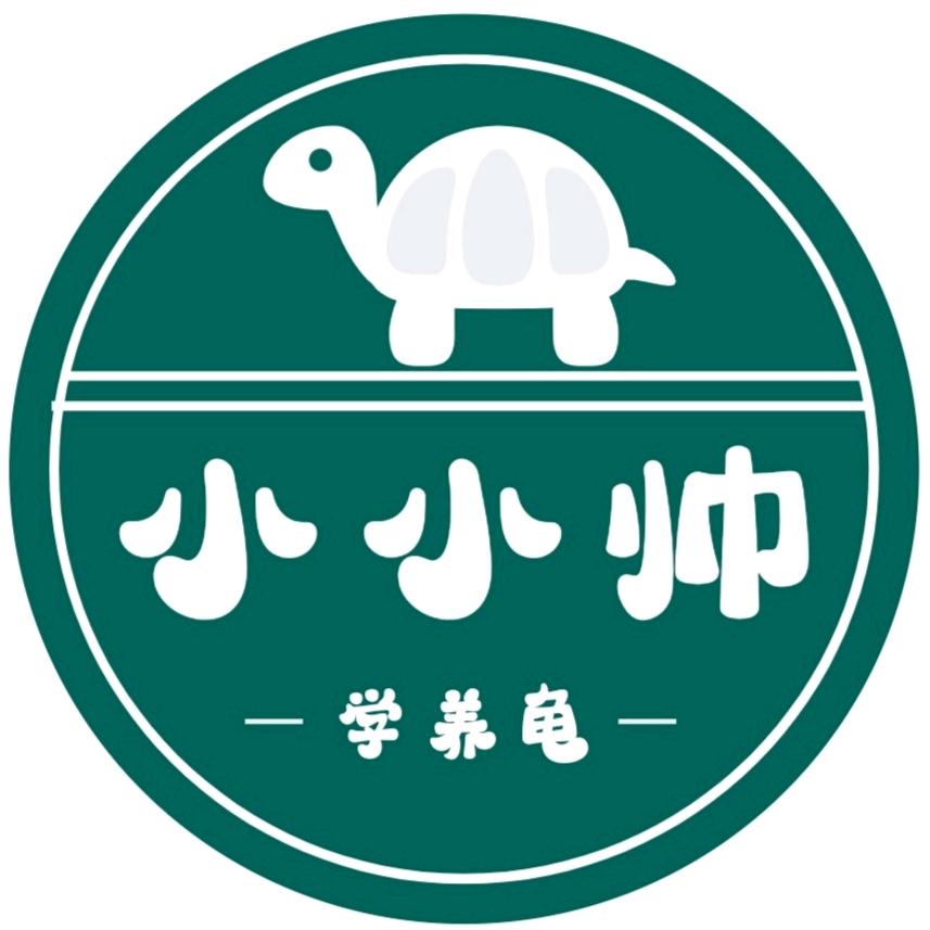 学养龟的小小帅