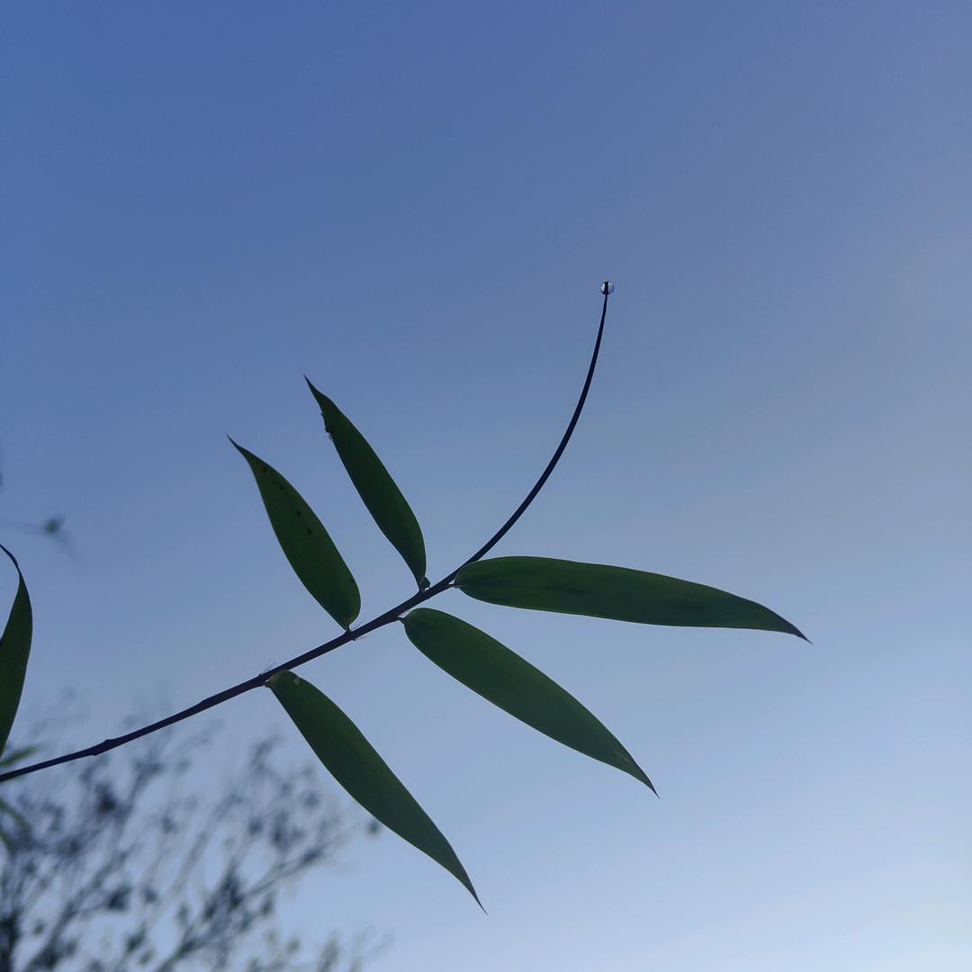 松山