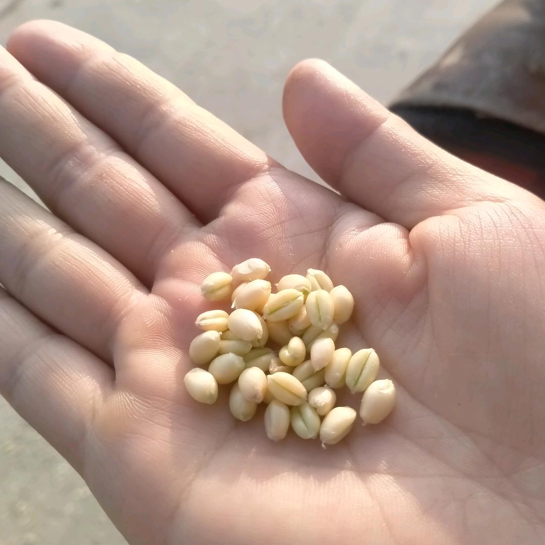 上蔡县翔阁淋浴房卫生间