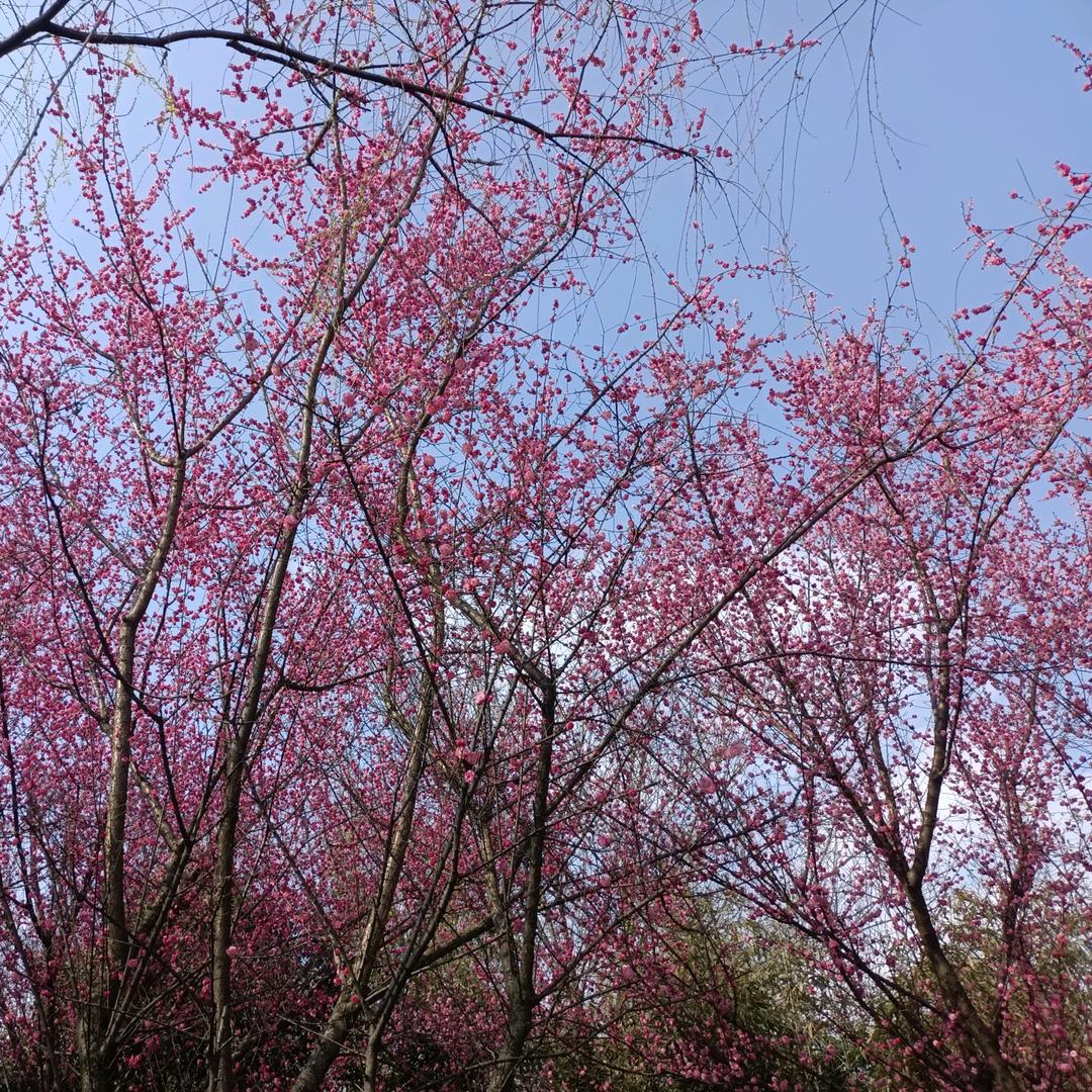 @慧