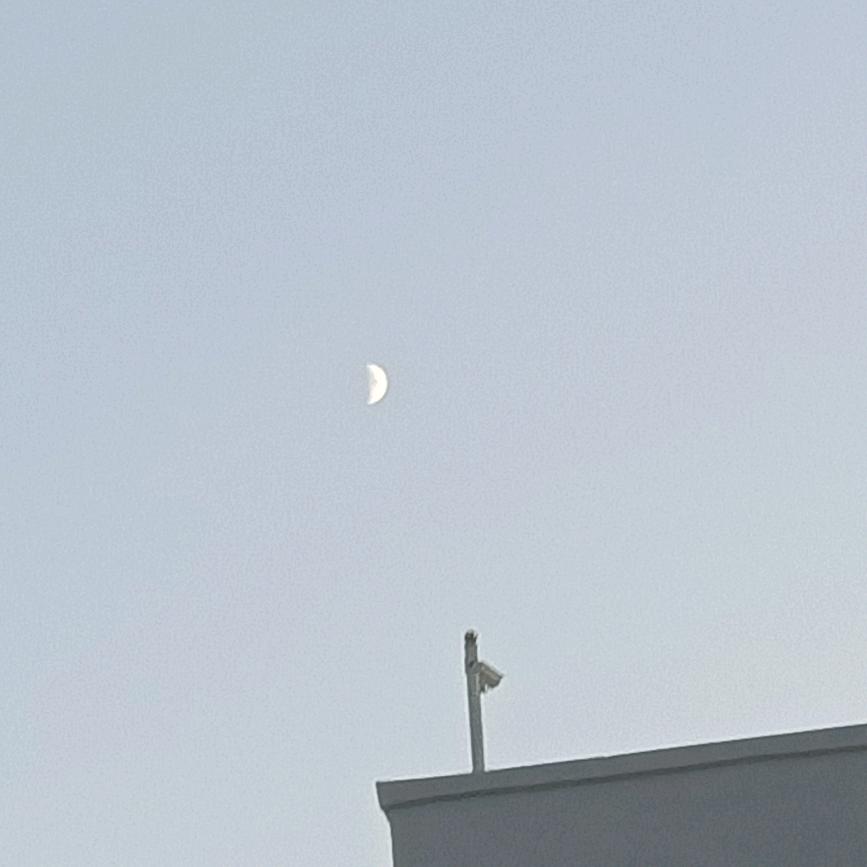 清风明月
